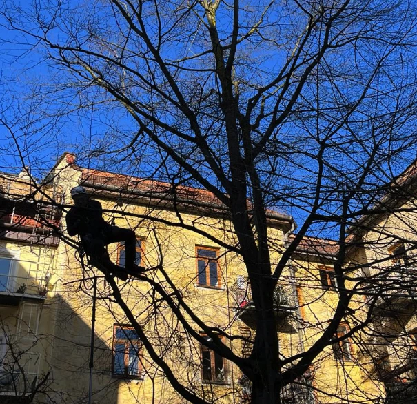 51 Gargio: Gartenbau, Hausmeisterdienst und Elektroarbeiten in München