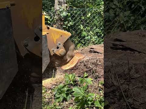 Videovorschau zur maschinellen Entfernung eines Wurzelstocks